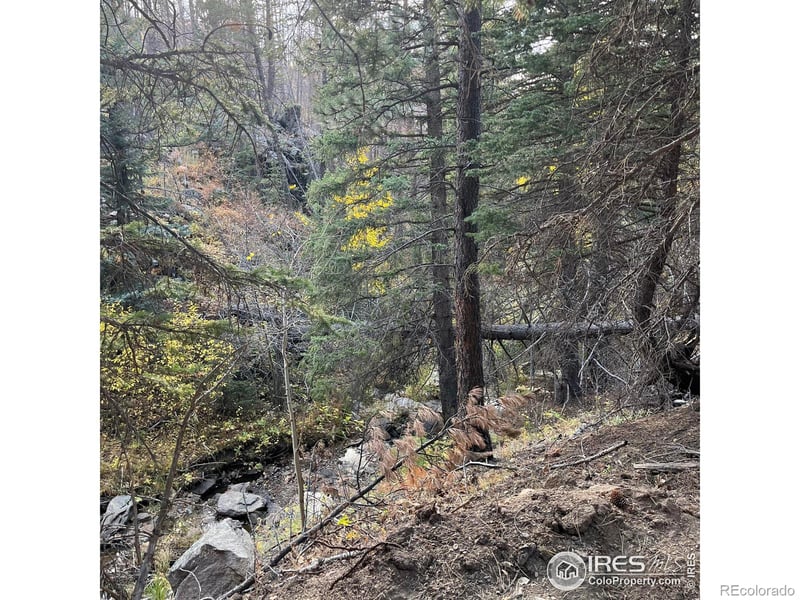 11 Monument Gulch Way, Bellvue, CO 80512