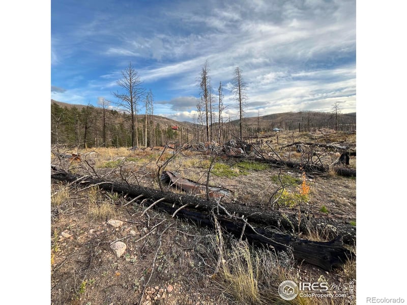 11 Monument Gulch Way, Bellvue, CO 80512