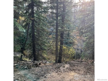 11 Monument Gulch Way, Bellvue, CO 80512