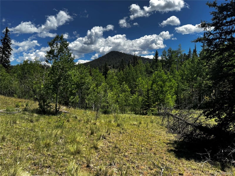 585 Haida Ln Lot 34, Como, CO 80456
