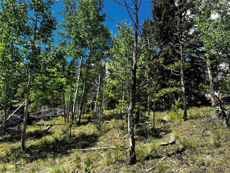 585 Haida Ln Lot 34, Como, CO 80456
