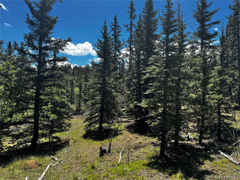 585 Haida Ln Lot 34, Como, CO 80456