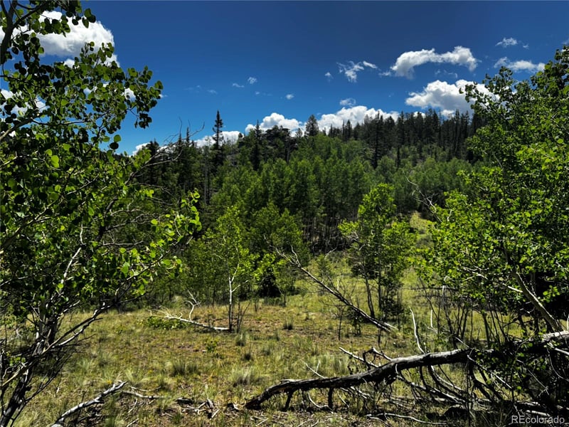 585 Haida Ln Lot 34, Como, CO 80456