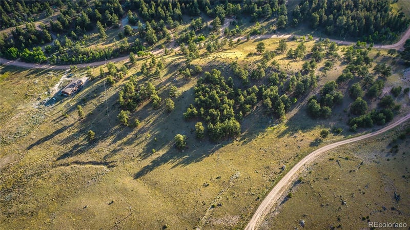 1300 Bridle Pa, Hartsel, CO 80449