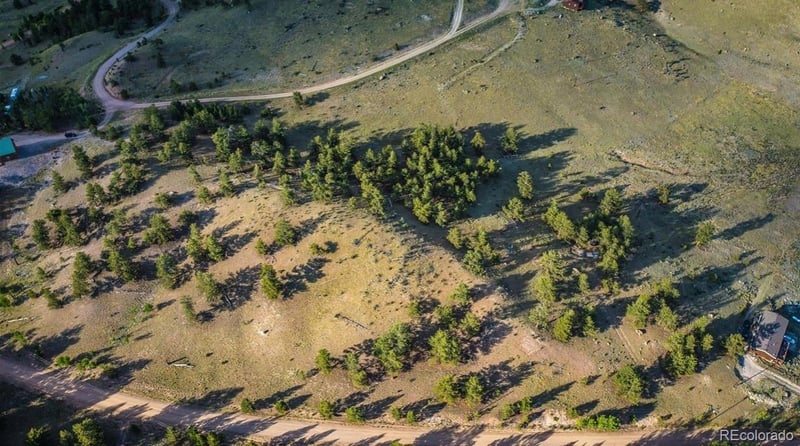 1300 Bridle Pa, Hartsel, CO 80449