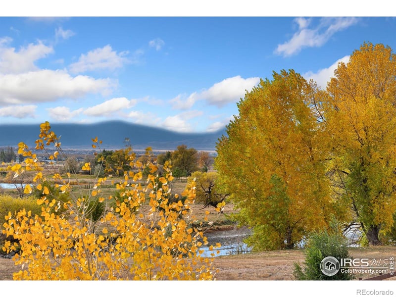 6051 Summerfields Pw, Timnath, CO 80547