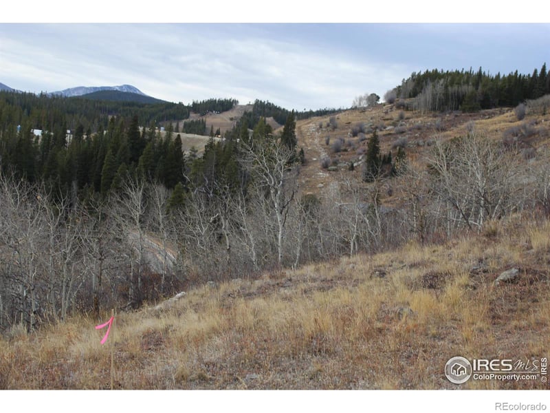 0 Lake Eldora Ski Rd, Nederland, CO 80466