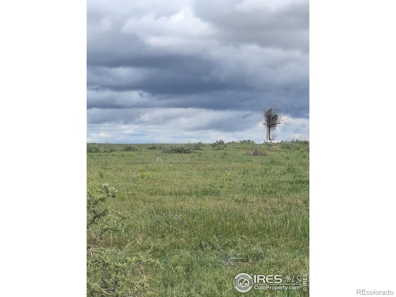 Parcel 2 North, Briggsdale, CO 80611