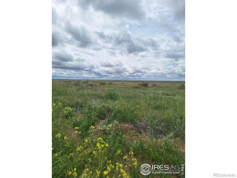 Parcel 2 North, Briggsdale, CO 80611