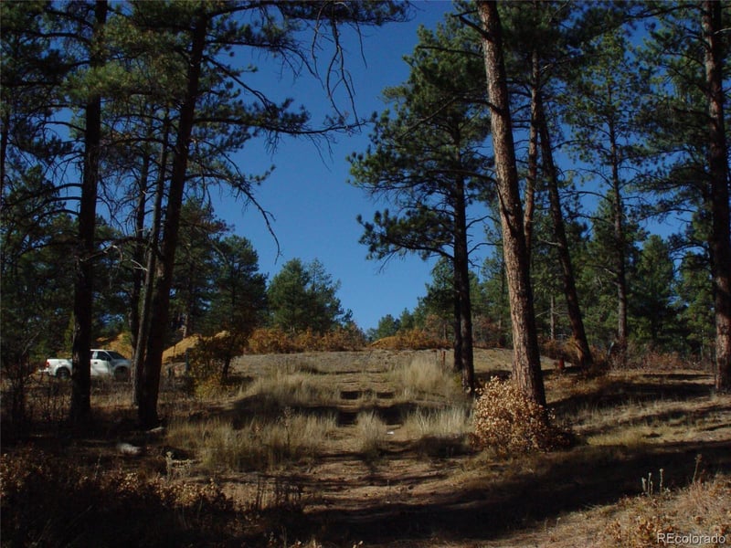 636 Poncho Rd, Larkspur, CO 80118