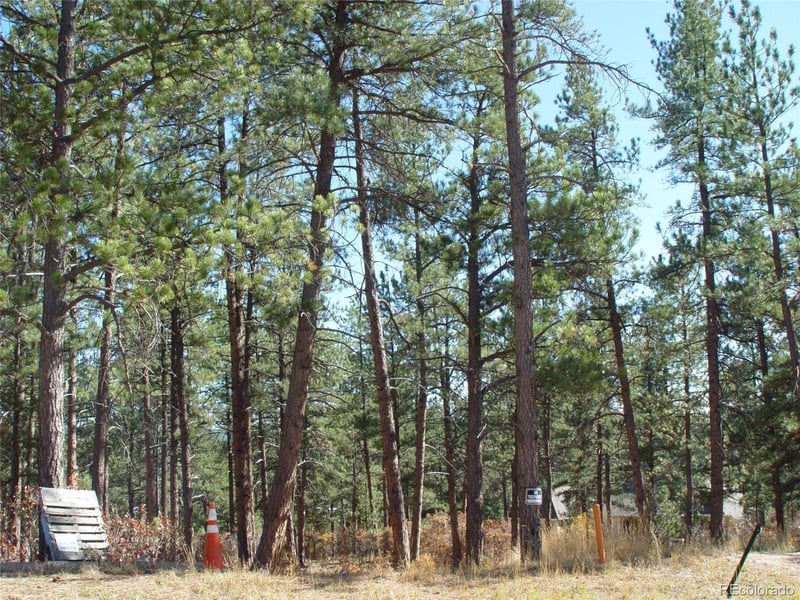 636 Poncho Rd, Larkspur, CO 80118