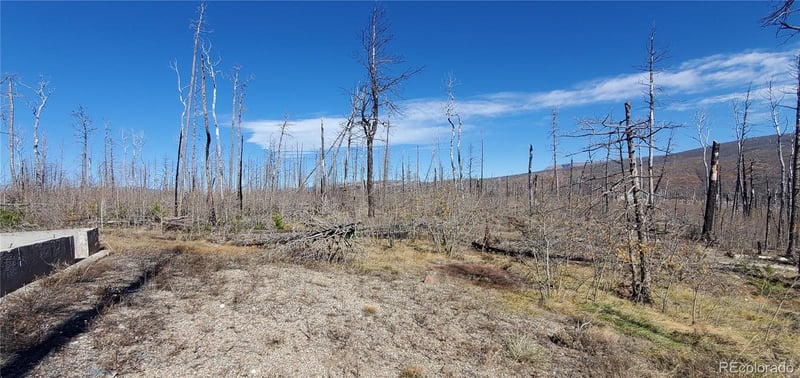 1588 Douglas Dr Lot 1588, Fort Garland, CO 81133