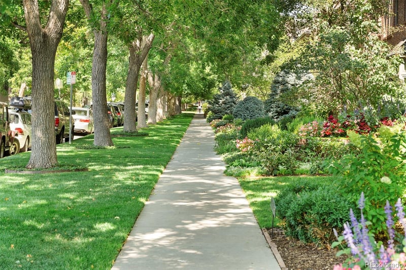 408 Columbine St, Denver, CO 80206