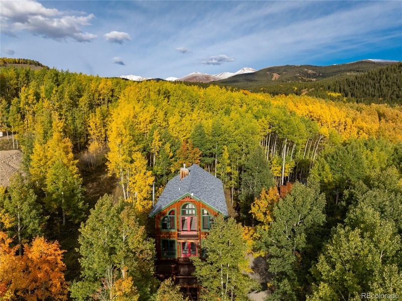 1165 Empire Valley Dr, Leadville, CO 80461