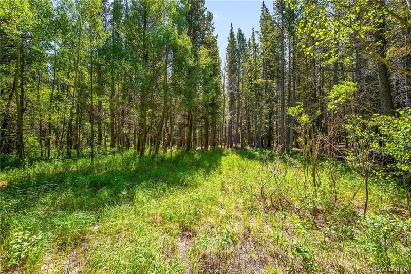 112 Deer Rd, Idaho Springs, CO 80452