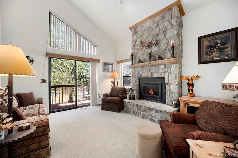 740 S 5th Ave, Frisco, CO 80443