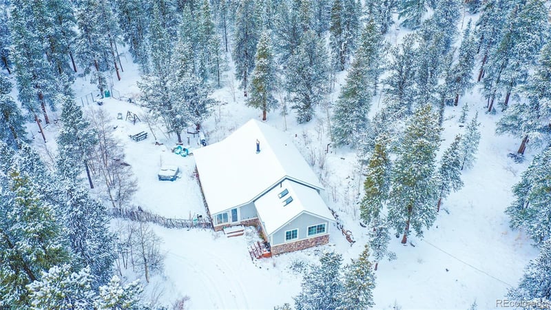 93 Busch Rn, Fairplay, CO 80440