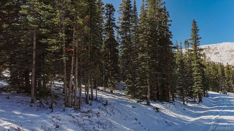 543 Camron Ln Lot 9, Breckenridge, CO 80424