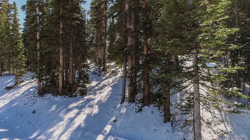 543 Camron Ln Lot 9, Breckenridge, CO 80424