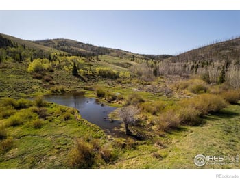 Parsons Draw Rd, Walden, CO 80480