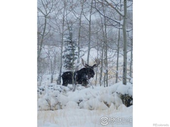 Parsons Draw Rd, Walden, CO 80480