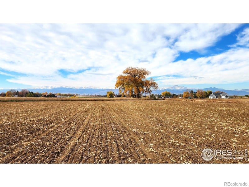 7800 County Road 1, Longmont, CO 80504