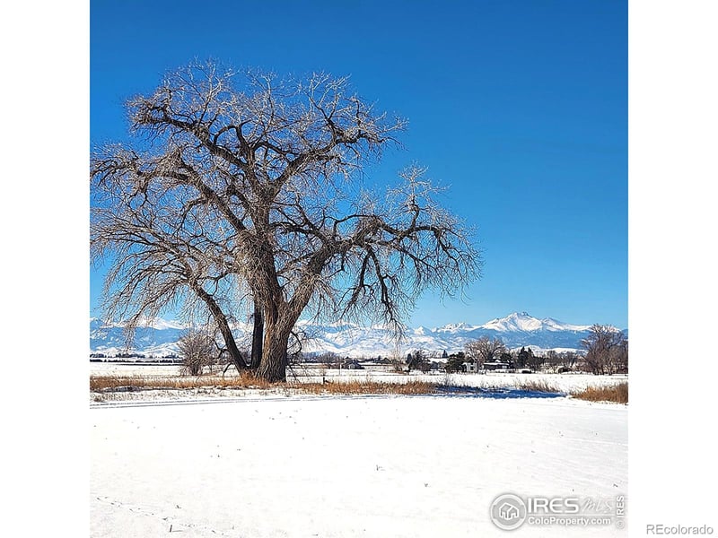 7800 County Road 1, Longmont, CO 80504