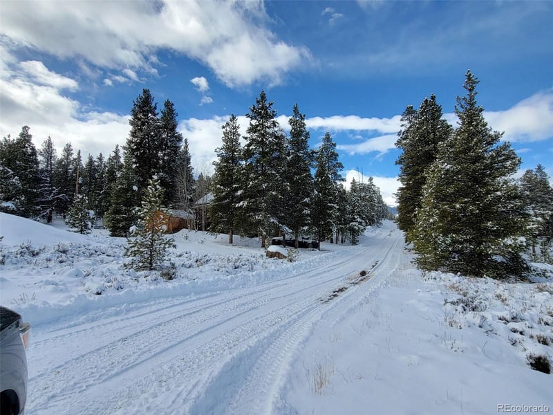 66 Juniper Dr, Twin Lakes, CO 81251