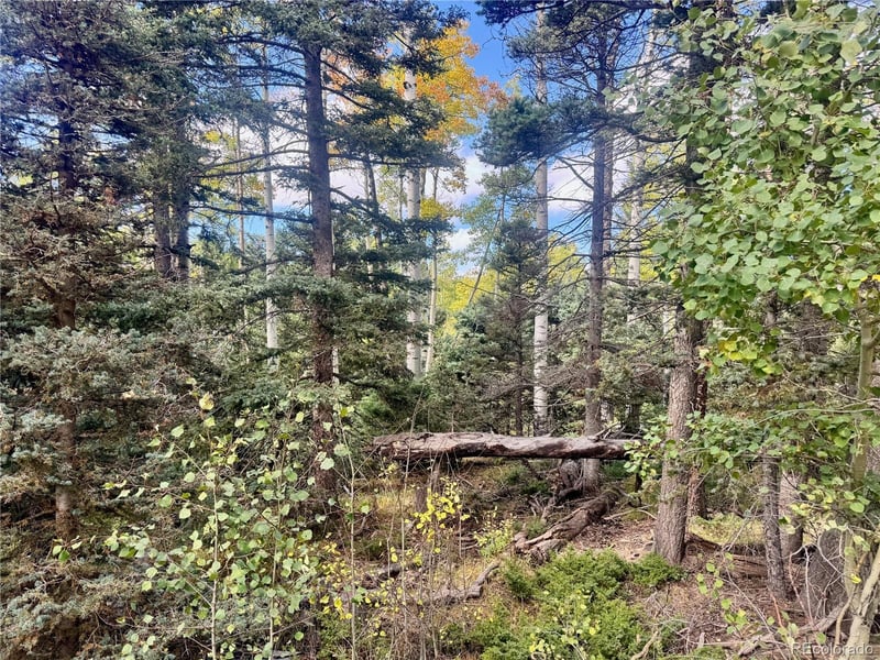 Lot 2843 Wendt Ln, Fort Garland, CO 81133