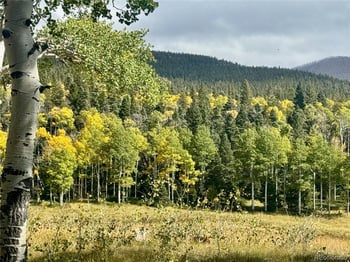 Lot 2843 Wendt Ln, Fort Garland, CO 81133