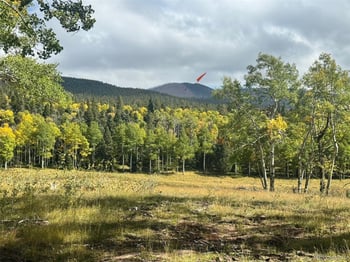 Lot 2843 Wendt Ln, Fort Garland, CO 81133