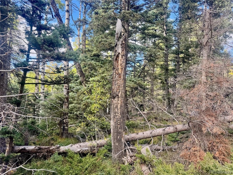 Lot 2843 Wendt Ln, Fort Garland, CO 81133