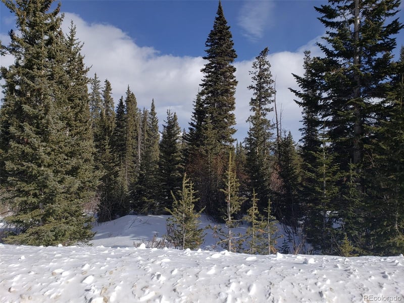 585 Porcupine Rd, Fairplay, CO 80440
