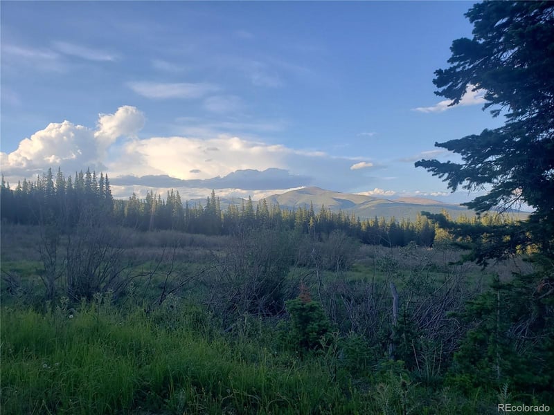 585 Porcupine Rd, Fairplay, CO 80440