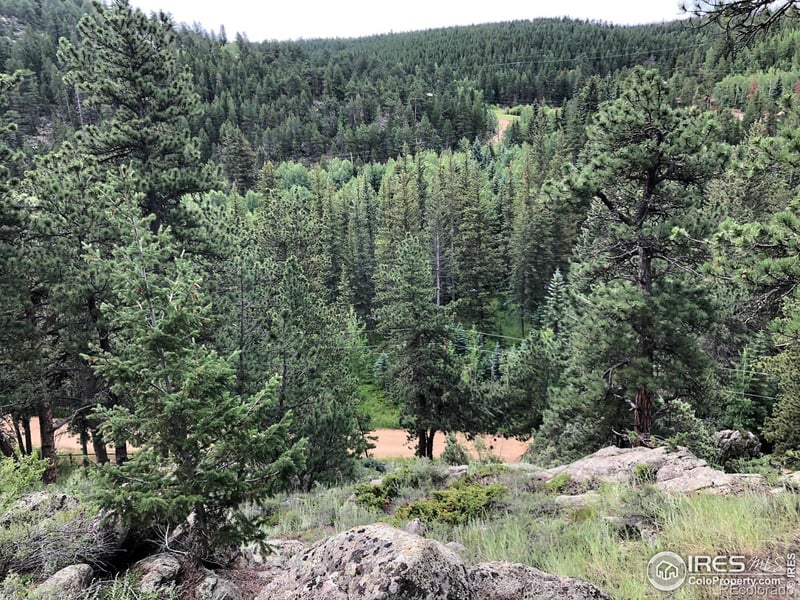 0 Cold Springs Dr, Nederland, CO 80466