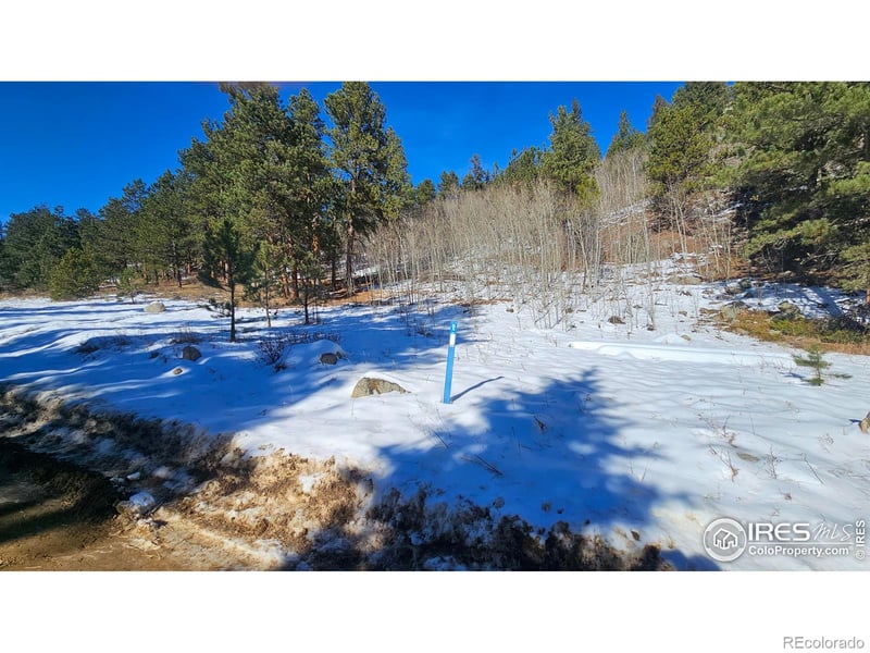 0 Cold Springs Dr, Nederland, CO 80466