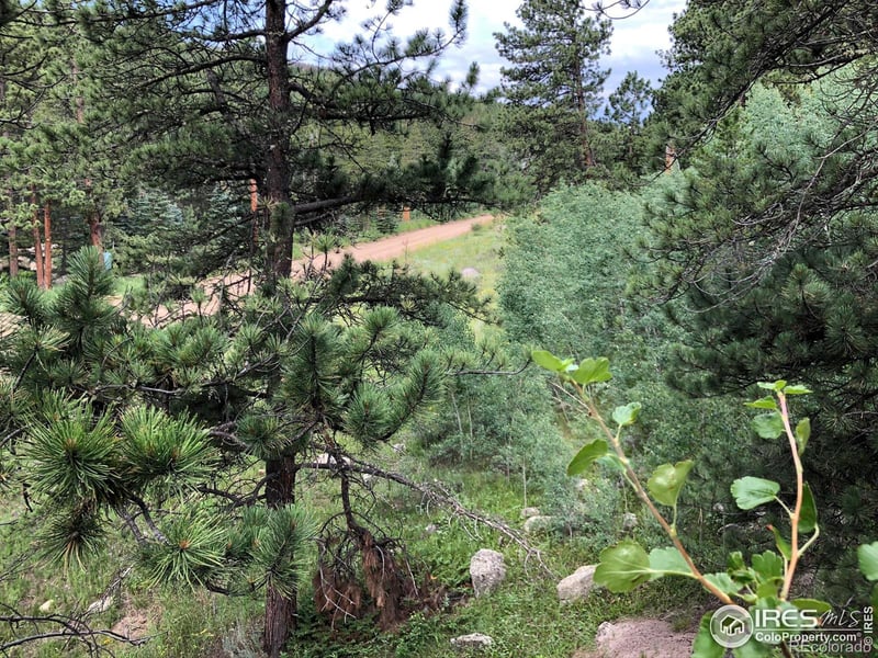 0 Cold Springs Dr, Nederland, CO 80466