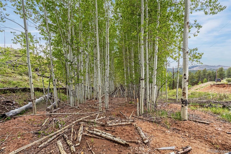 L1 B4 Columbine Cir, Woodland Park, CO 80863