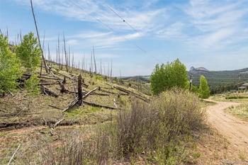 L1 B4 Columbine Cir, Woodland Park, CO 80863