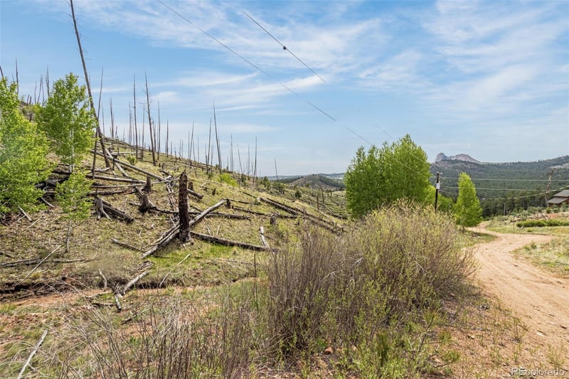 L1 B4 Columbine Cir, Woodland Park, CO 80863