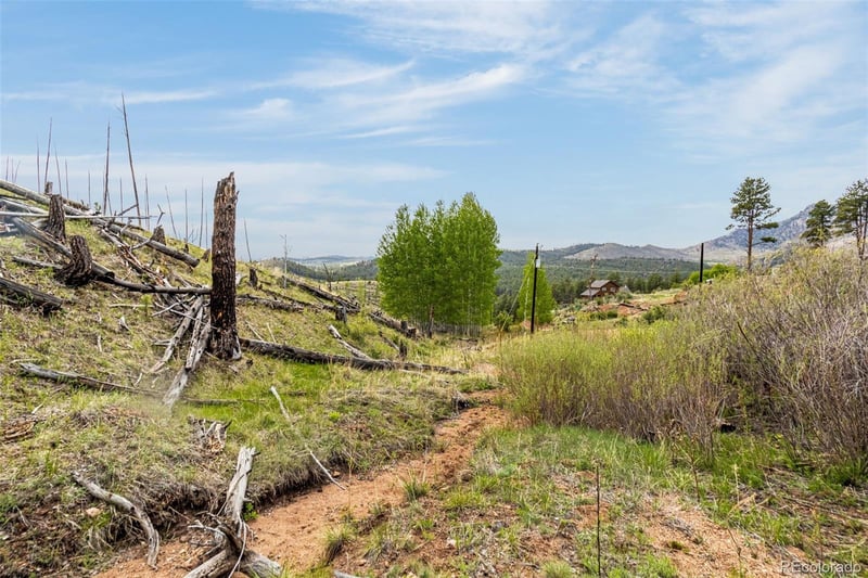 L1 B4 Columbine Cir, Woodland Park, CO 80863