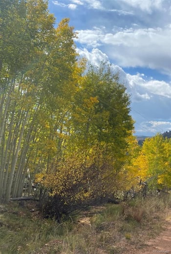 L1 B4 Columbine Cir, Woodland Park, CO 80863