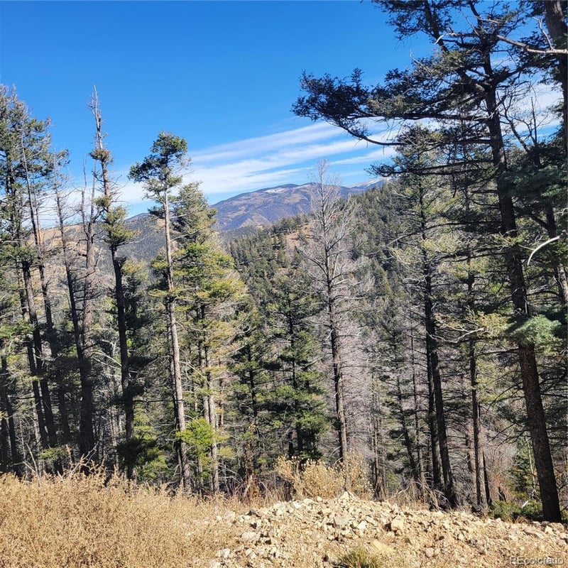 5213 Taylor Rd, Fort Garland, CO 81133