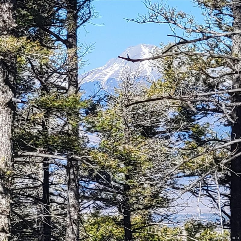 5213 Taylor Rd, Fort Garland, CO 81133