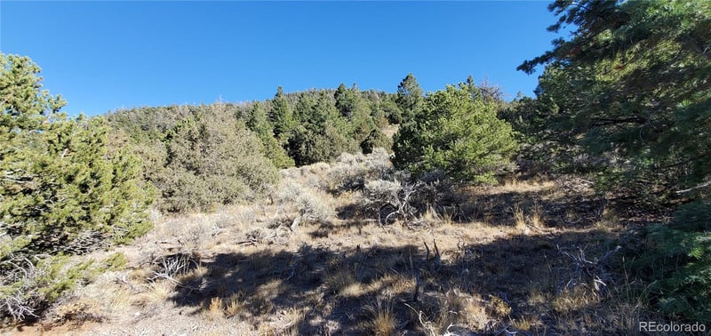 5486 Balleroy Rd Lot 5486, San Luis, CO 81152