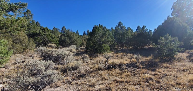 5486 Balleroy Rd Lot 5486, San Luis, CO 81152