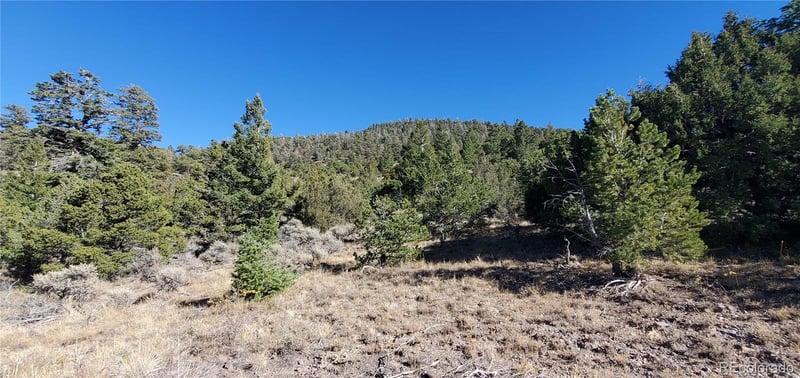 5486 Balleroy Rd Lot 5486, San Luis, CO 81152