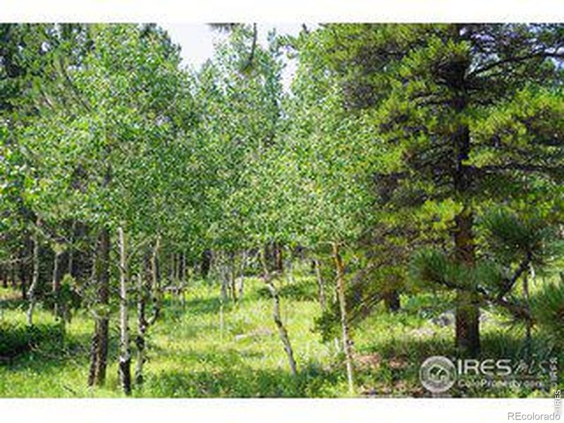 246 Tahosa Park South Rd, Allenspark, CO 80510