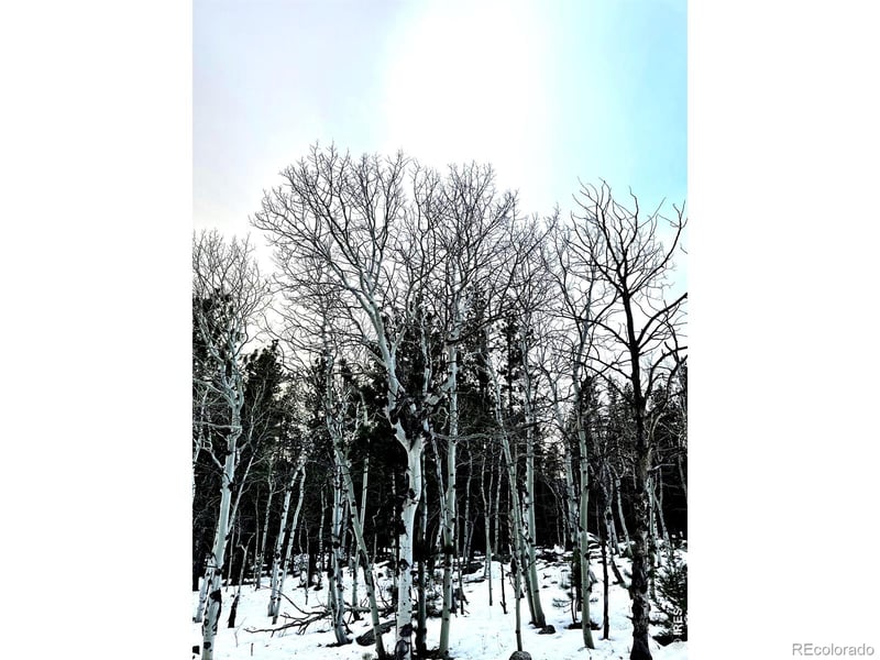 246 Tahosa Park South Rd, Allenspark, CO 80510