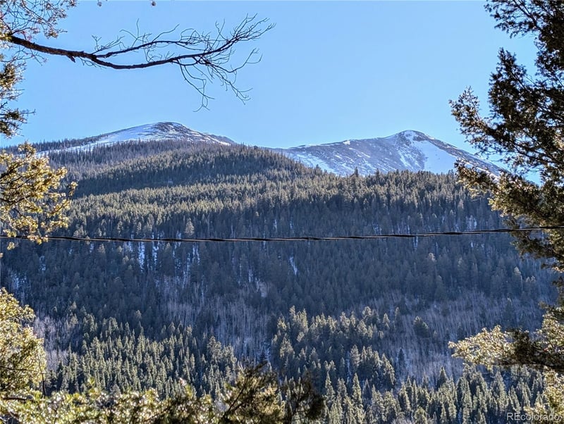 22665 County Road 292 A, Nathrop, CO 81236